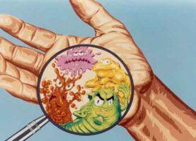 What types of infections can contaminate your hands？